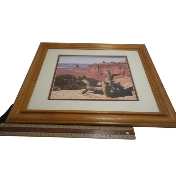 Steamboat Springs Colorado Landscape Trees Framed Photo Print Buffalo Pass - Picture 7 of 8